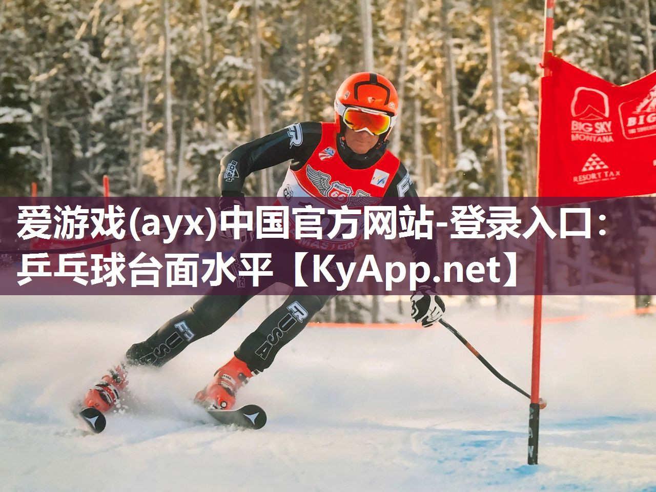 爱游戏(ayx)中国官方网站-登录入口：乒乓球台面水平