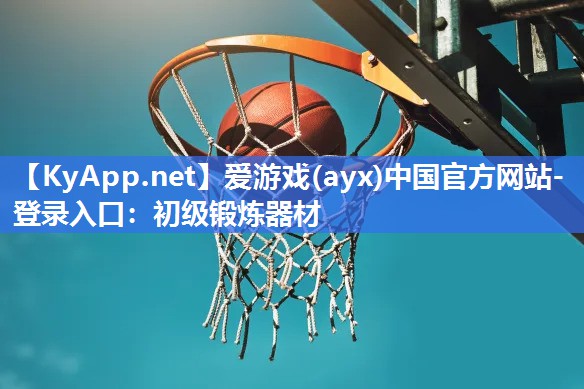 爱游戏(ayx)中国官方网站-登录入口：初级锻炼器材