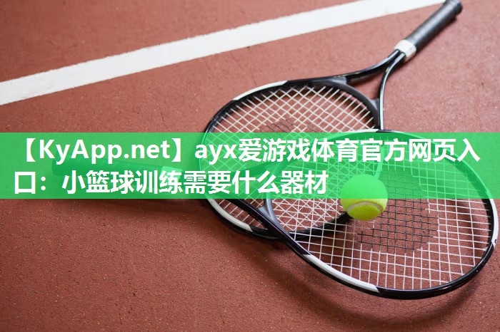 ayx爱游戏体育官方网页入口：小篮球训练需要什么器材