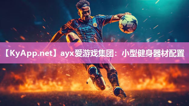 ayx爱游戏集团：小型健身器材配置