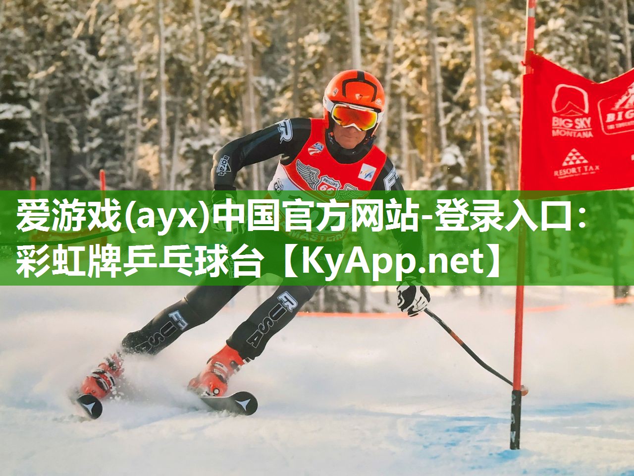 爱游戏(ayx)中国官方网站-登录入口：彩虹牌乒乓球台